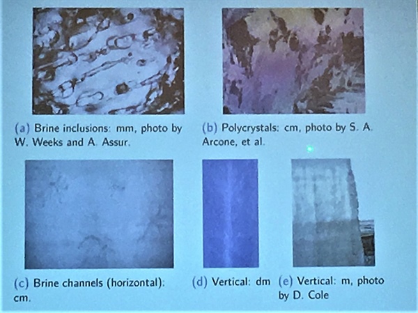 Multiscale structure of sea ice showing brine inclusions and channels.