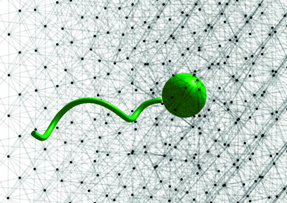 &lt;strong&gt;Figure 1.&lt;/strong&gt; Simulation of a cell that has a helical flagellum within a fluid consisting of a continuous Newtonian component and a lattice that represents suspended polymers. The simulation uses simple mechanical models to describe both the flagellum and the polymers. Figure courtesy of [2].