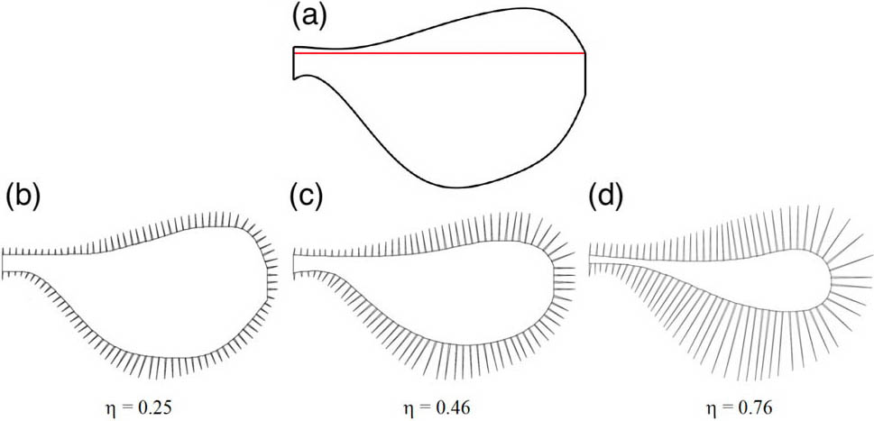 &lt;strong&gt;Figure 2.&lt;/strong&gt; The wing geometries that we modeled in our study. &lt;strong&gt;2a.&lt;/strong&gt; The reference wing structure for this study, with the pitching axis denoted by the red line. &lt;strong&gt;2b–2d.&lt;/strong&gt; Three bristled wings (\(\eta\) denotes the fraction of the wing planform area that is bristled). Figure courtesy of Hrithik Aghav.