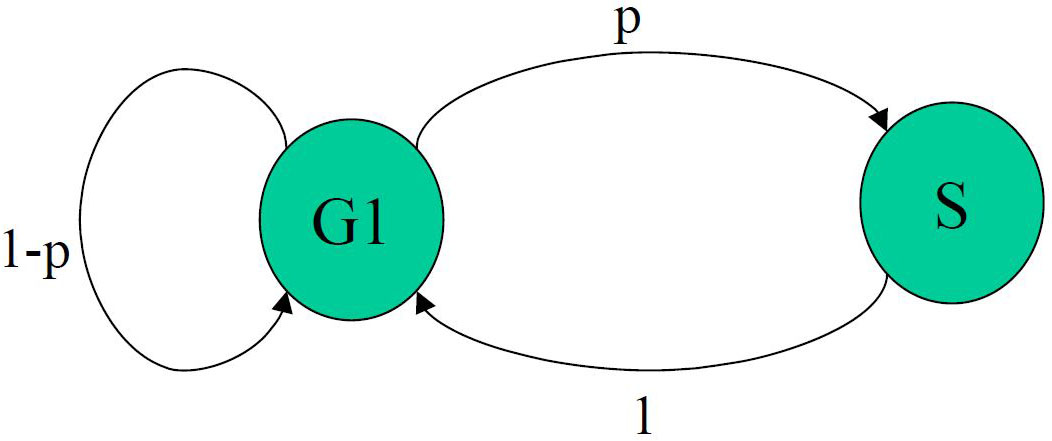 <strong>Figure 1.</strong> Discrete-time Markov chain (DTMC) tracking COVID-19 infections.