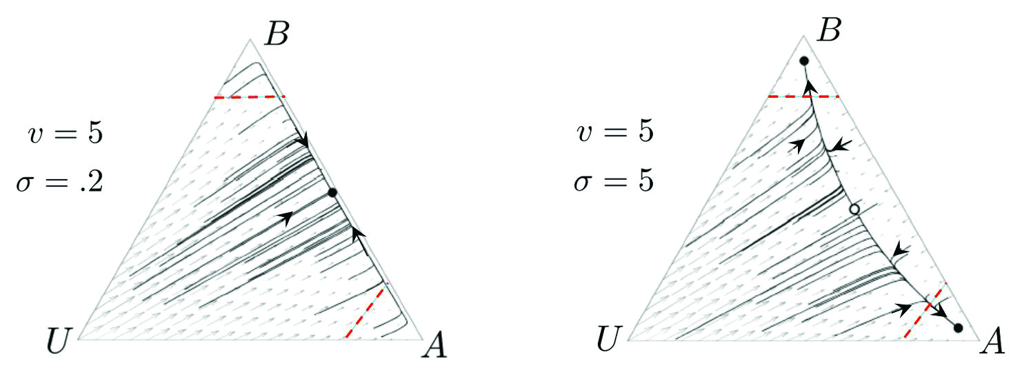 &lt;strong&gt;Figure 4.&lt;/strong&gt; The three possible outcomes when two sufficiently valuable nest sites have equal value &lt;em&gt;v&lt;/em&gt; are either a tie or a choice between the sites. The difference between a tie and a decision is the strength &lt;em&gt;&amp;sigma;&lt;/em&gt; of the scouts’ commitment to their preferred sites. The tied steady-state—an equal number of the scouts voting for &lt;em&gt;A&lt;/em&gt; as for &lt;em&gt;B&lt;/em&gt;—changes from stable to unstable when the bifurcation parameter &lt;em&gt;&amp;sigma;&lt;/em&gt; increases from 0.2 to 5. Image courtesy of [1].