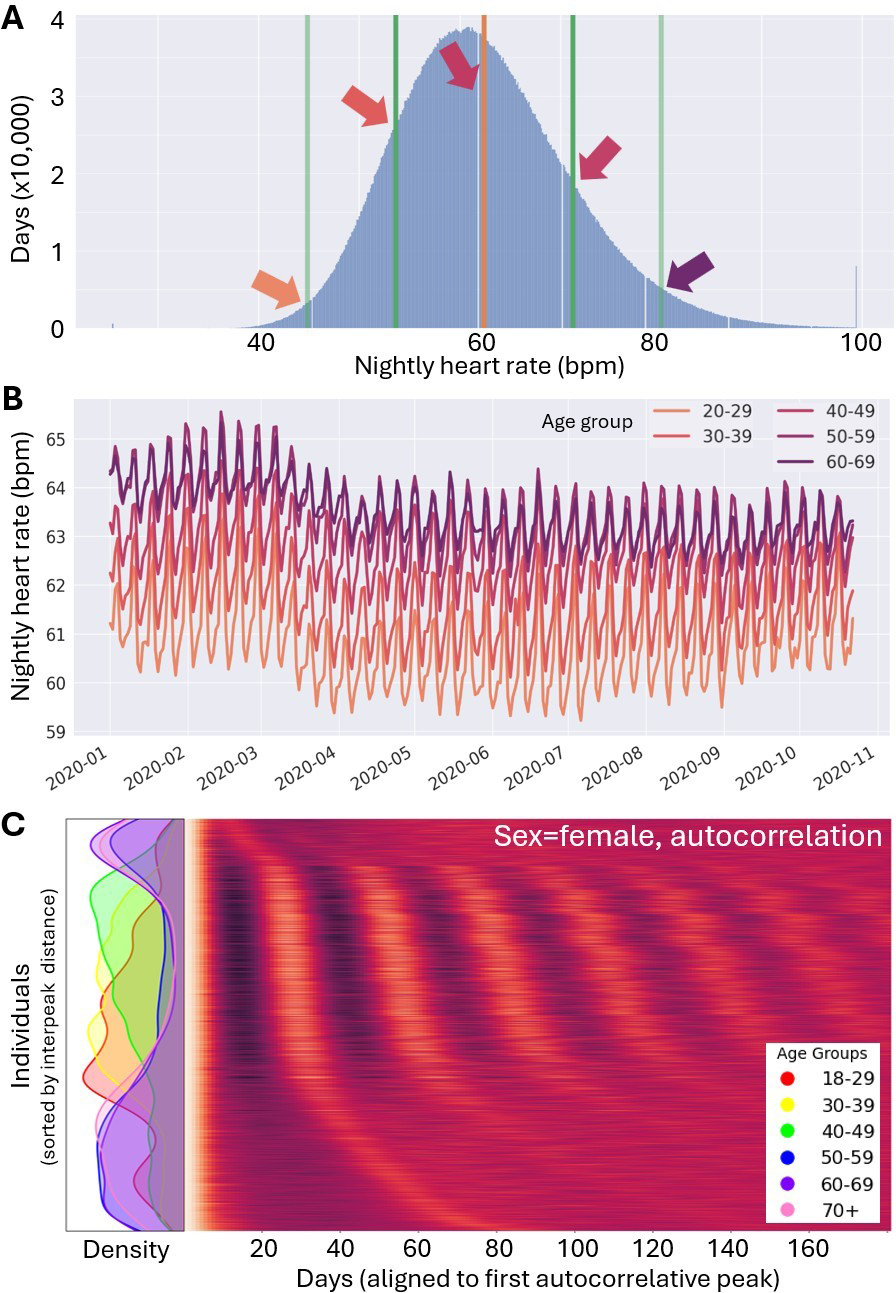 &lt;strong&gt;Figure 1.&lt;/strong&gt; Biases in healthcare-related artificial intelligence applications arise from inappropriate assumptions of uniform distributions. &lt;strong&gt;1a.&lt;/strong&gt; Five million nights of heart rate data give the illusion of a Gaussian distribution, when different age groups actually disproportionately represent different parts of the distribution (arrow colors match the age groups in 1b). &lt;strong&gt;1b.&lt;/strong&gt; The same five million nights as time series per decade of life illustrate average social effects (e.g., COVID-19 shutdown in March 2020 and spikes on weekends) that provide explainable variance within these distributions. &lt;strong&gt;1c.&lt;/strong&gt; Autocorrelation amongst individuals also reveals explainable variability within the traditional “female” demographic category. Density estimates by decade of life (left) reveal interactions between age, sex, and cyclicity that support construction of physiotypes within the demographic category, improving algorithmic fit. Figure courtesy of the Smarr Lab at the University of California, San Diego.