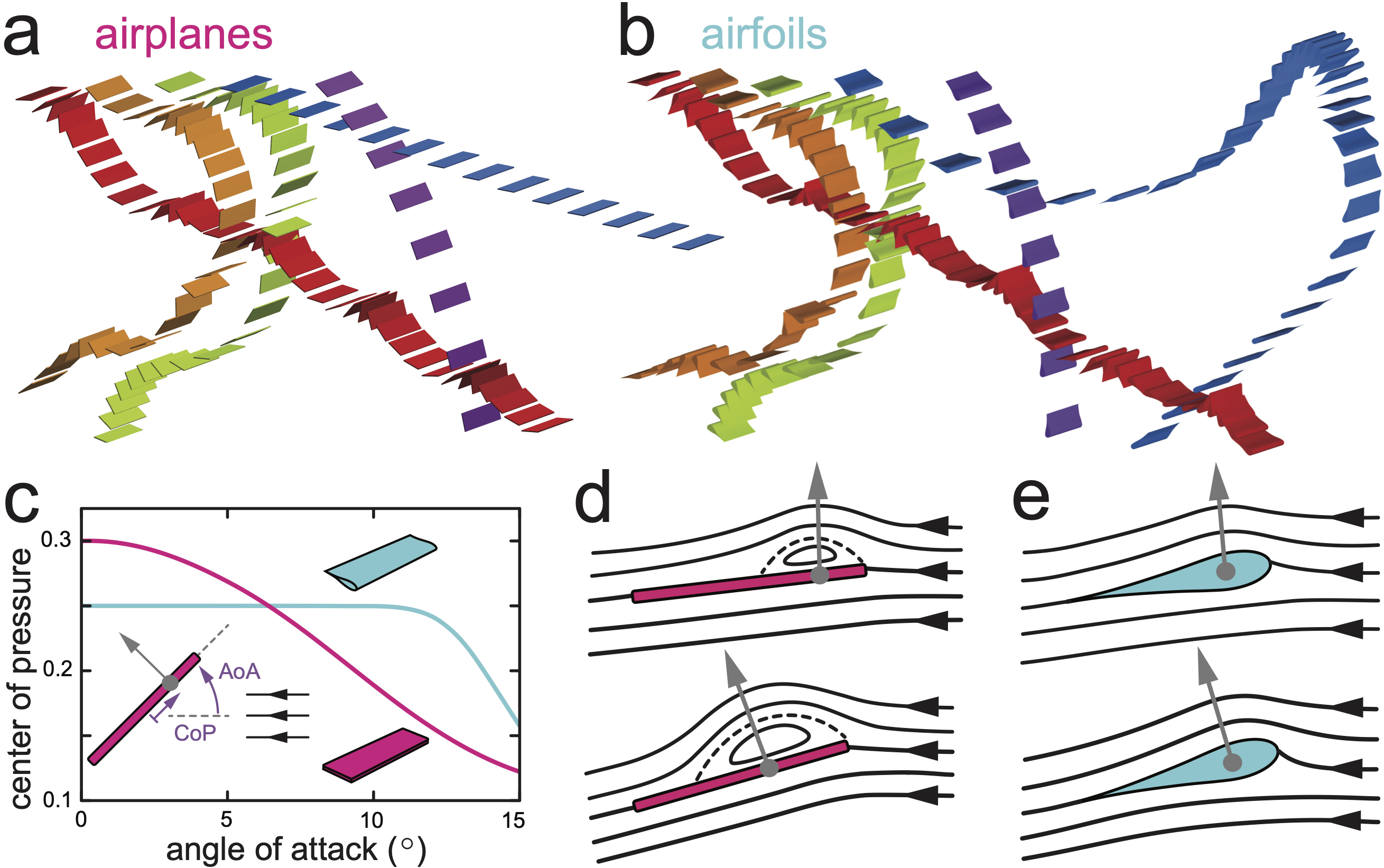 &lt;strong&gt;Figure 2.&lt;/strong&gt; Flight simulations of planes and foils. &lt;strong&gt;2a.&lt;/strong&gt; Representative trajectories of thin plates that are falling in air, as computed from our model [4]. The colors correspond to CoM locations that vary from the center of the plate (red) to near the leading edge (purple). Gliding (blue) occurs when the CoM is near the quarter-chord point. &lt;strong&gt;2b.&lt;/strong&gt; Simulated trajectories of foils that fail to glide for any CoM. &lt;strong&gt;2c.&lt;/strong&gt; Center of pressure dependence on angle of attack (AoA) for a plate (magenta) and foil (cyan). &lt;strong&gt;2d.&lt;/strong&gt; The flow over the plate separates from the leading edge and reattaches to form a “bubble” whose size varies with AoA. &lt;strong&gt;2e.&lt;/strong&gt; Flow over the foil remains smoothly attached. Figure courtesy of the authors.