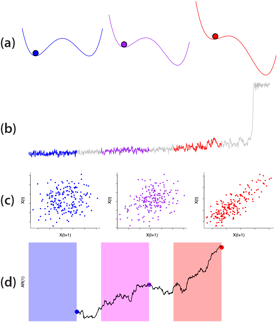 &lt;strong&gt;Figure 2.&lt;/strong&gt; Visualization of a system that is externally forced towards tipping, along with an early warning signal of the impending tipping point. &lt;strong&gt;2a.&lt;/strong&gt; The evolution of the system’s potential well (from blue to purple to red) indicates a shallowing of the left-hand state. &lt;strong&gt;2b.&lt;/strong&gt; This shallowing eventually causes a tipping point in the system. &lt;strong&gt;2c.&lt;/strong&gt; The scatter plots depict the increasing lag 1 autocorrelation in the colored regions of the time series. &lt;strong&gt;2d.&lt;/strong&gt; The time series of the autoregressive model \(AR(1)\) is calculated on a moving window. Colored points depict the individual \(AR(1)\) values from each scatter plot. Figure courtesy of Chris Boulton.
