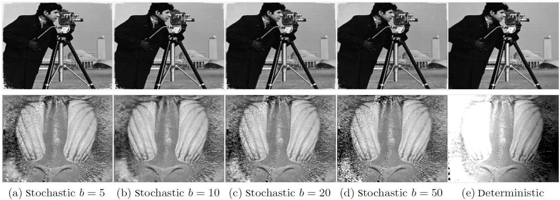 &lt;strong&gt;Figure 3.&lt;/strong&gt; Image reconstruction of the magnitude and phase components. Figure courtesy of the authors.