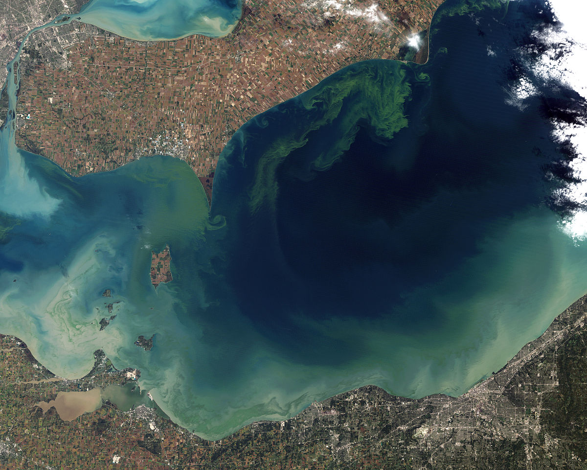 &lt;strong&gt;Figure 1.&lt;/strong&gt; A satellite photo of Lake Erie in North America (taken in October 2011) shows toxic algae in green. The spread pattern is due primarily to phosphorus runoff from agriculture. Public domain image.