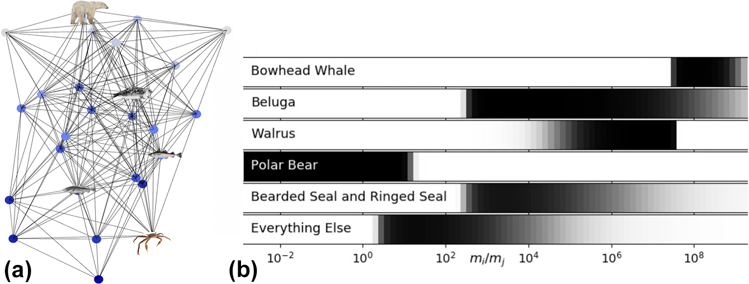 <strong>Figure 1.</strong> Southern Beaufort Sea network model. <strong>1a.</strong> Sample network of predator-prey interactions. <strong>1b.</strong> Probability of a predator-prey interaction as a function of their body mass ratio \(m_i/m_j\) for specialized feeders and standard species. Darker colors indicate higher probabilities. Figure courtesy of Stefan Awender.