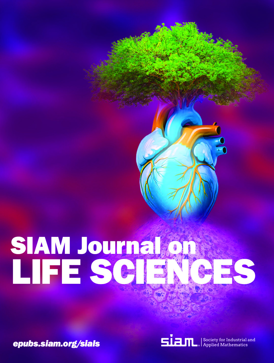 <strong>Figure 2.</strong> The new <em>SIAM Journal on Life Sciences</em> is currently accepting submissions and expects to publish its first batch of articles in early 2026. SIAM image.