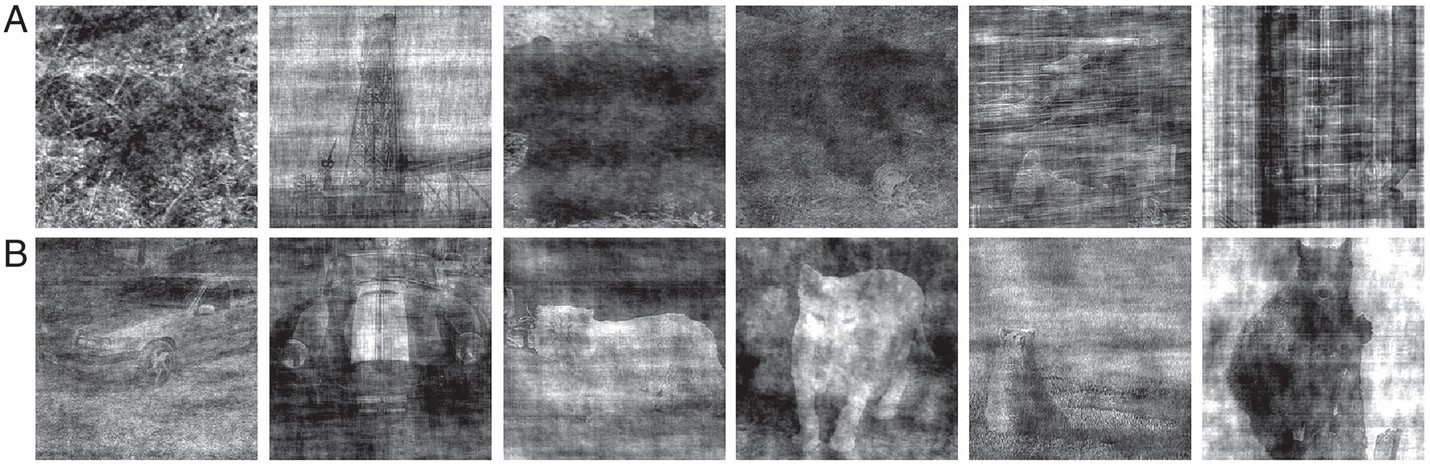 &lt;strong&gt;Figure 2.&lt;/strong&gt; Sample images from our image classification dataset, which we call ImageNet-16H. &lt;strong&gt;2a.&lt;/strong&gt; Examples of images that machine classifiers are able to correctly classify with high confidence, but that are difficult for humans to classify. Correct answers, left to right: bird, boat, bear, bear, oven, and oven. &lt;strong&gt;2b.&lt;/strong&gt; Examples of images that are relatively easy for humans but difficult for machine classifiers to classify. Correct answers, left to right: car, car, cat, cat, bear, bear. Figure courtesy of Mark Steyvers [3].