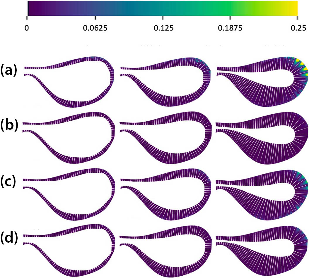 &lt;strong&gt;Figure 5.&lt;/strong&gt; Distribution of the fluid velocity’s normal component (relative to the wing) in the gaps between the bristles of the bristled wings at &lt;strong&gt;(5a)&lt;/strong&gt; \(T = 3.12\), &lt;strong&gt;(5b)&lt;/strong&gt; \(T = 3.38\), &lt;strong&gt;(5c)&lt;/strong&gt; \(T = 3.65\), and &lt;strong&gt;(5d)&lt;/strong&gt; \(T = 3.89\). Here, \(T\) is normalized time and \(Re = 64\). We normalize the normal component using the maximum wing tip speed. Figure courtesy of Hrithik Aghav.