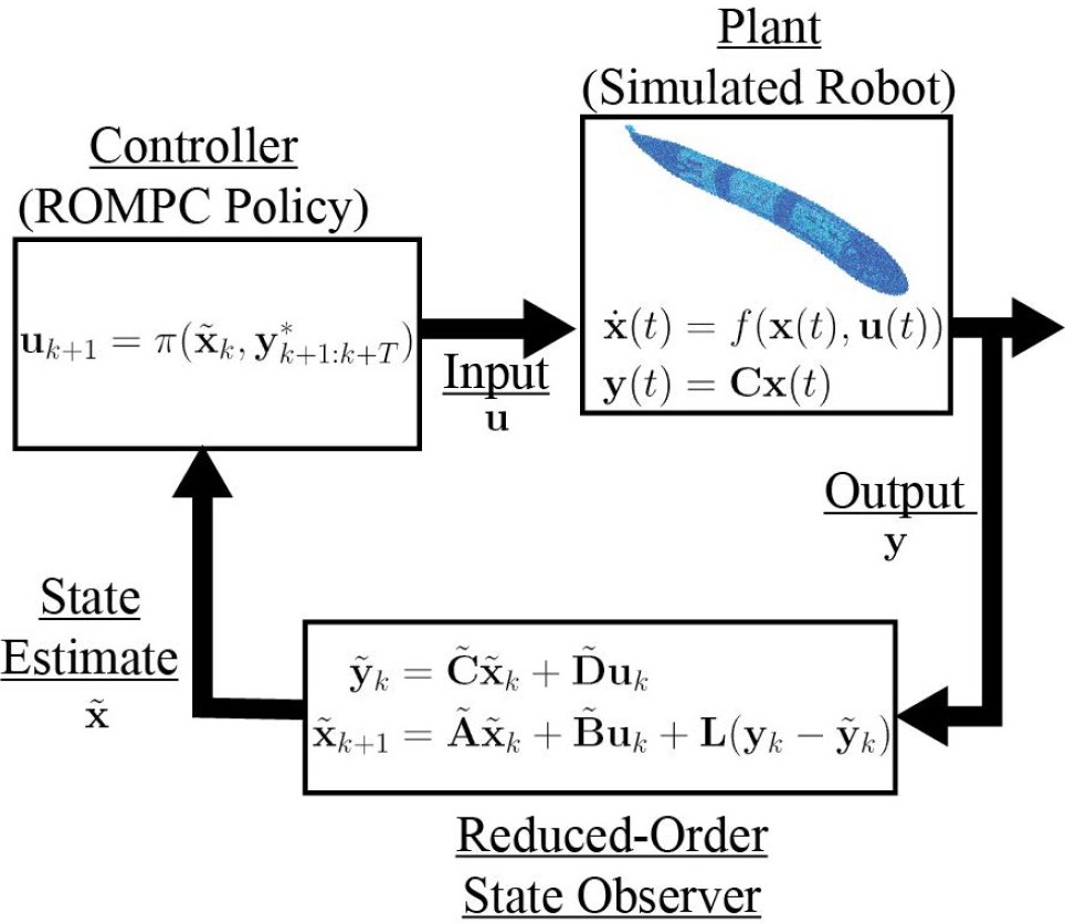 <strong>Figure 3.</strong> Block diagram of the proposed reduced-order model (ROM) predictive control loop. For each tested ROM, we synthesized a closed-loop state observer that takes measurements \(\mathbf{y}(t)\) of the simulated robot’s centerline to produce estimates of the reduced-order state. We then use these estimates and a desired reference trajectory to seed an optimization-based control policy that produces a trajectory of input pressures to the fluid elastomer actuators. At each timestep, we utilize the pressures at the first timestep of this trajectory as input for the robot. Figure courtesy of [1].
