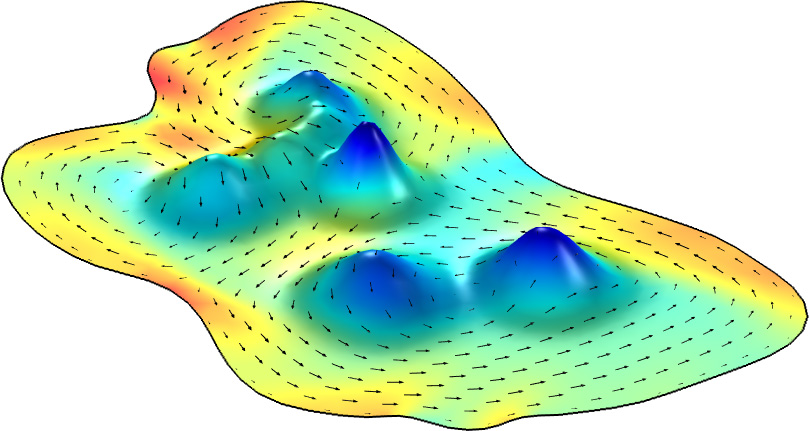 &lt;strong&gt; Figure 2.&lt;/strong&gt;  A surface that was generated via the finite element method to provide topography for a simulated wildebeest herd. The small black arrows indicate the vector field of the wildebeest, illustrating their movement over and around obstacles. Figure courtesy of Christina Hueschen.