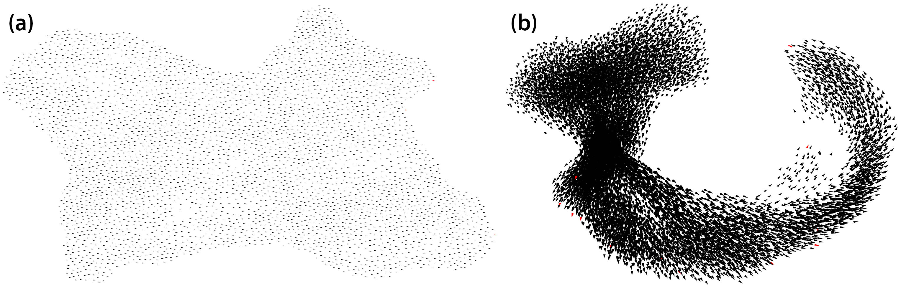 &lt;strong&gt;Figure 2.&lt;/strong&gt; Two examples of flocking behavior in our simulation. &lt;strong&gt;2a.&lt;/strong&gt; A simulated flock of 4,096 birds moving in two-dimensional space. &lt;strong&gt;2b.&lt;/strong&gt; A simulated flock of 16,384 birds that are turning to reach a target in three-dimensional space. Figure courtesy of Max Comstock.