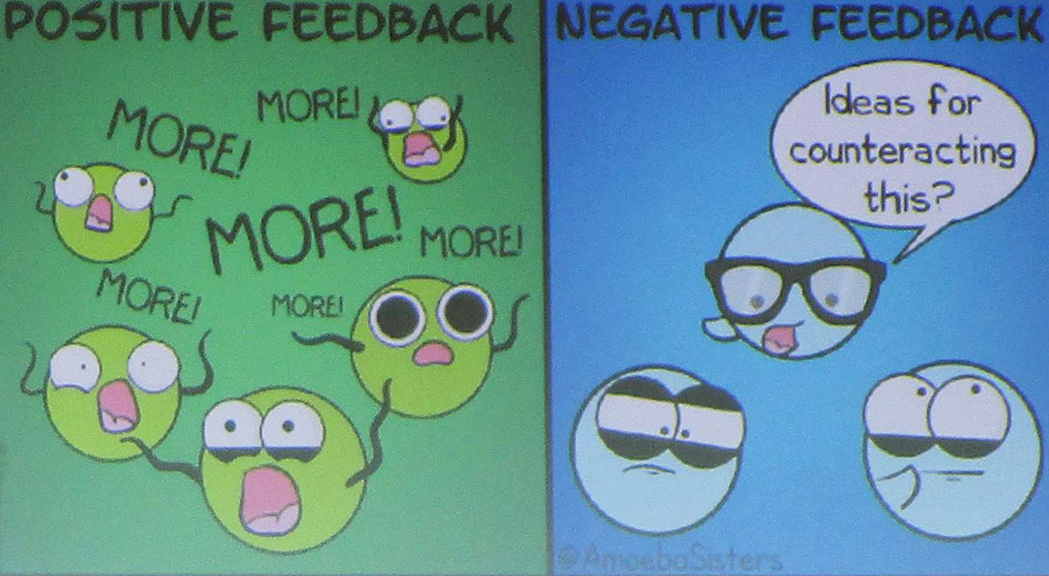 <strong>Figure 2.</strong> Positive versus negative feedback. Figure courtesy of <a href="https://www.amoebasisters.com" target="_blank"> the Amoeba Sisters</a>.