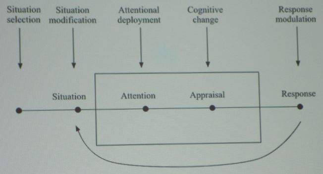 <strong>Figure 1.</strong> Psychologist James Gross' model for emotion generation and regulation functions as a feedback loop.