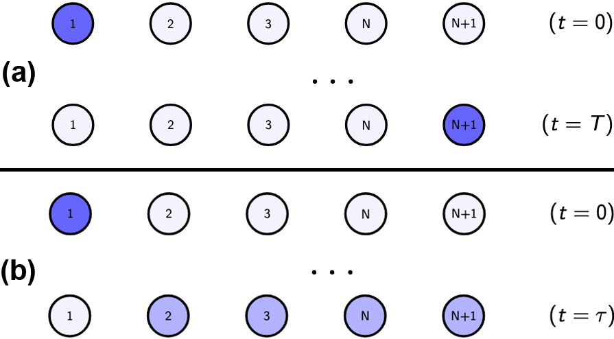 &lt;strong&gt;Figure 1.&lt;/strong&gt; Possible states of a quantum chain. &lt;strong&gt;1a.&lt;/strong&gt; Perfect state transfer. &lt;strong&gt;1b.&lt;/strong&gt; Early state exclusion. Figure courtesy of the author.
