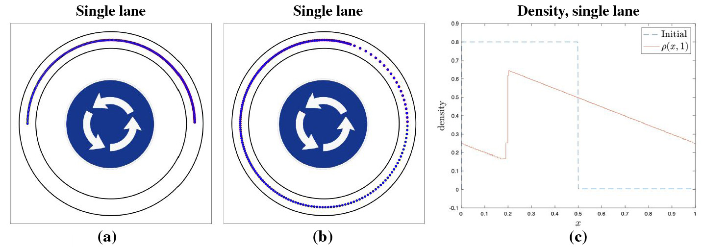 <strong>Figure 1.</strong> A simulation of traffic on a periodic road. The number of vehicles is 200, their length is \(\ell=1/500\), and the velocity function is \(v(\rho)=1-\rho\). <strong>1a.</strong> Initially, the vehicles are equally spaced on half of the road so that the density \(\ell/(x_{i+1}-x_i)=0.8\). <strong>1b.</strong> As time begins to pass, the first vehicle instantly approaches the maximum velocity. Vehicles at the tail move more slowly and are eventually approached by those that have completed one loop (at \(t=1\)). <strong>1c.</strong> Vehicle density approaches the familiar N-wave from conservation laws, wherein a shock is sandwiched between two rarefaction waves. This graph is virtually indistinguishable from the solution of the corresponding Lighthill-Whitham-Richards (LWR) model. See Animation 1 for more detail. Figure courtesy of the authors.