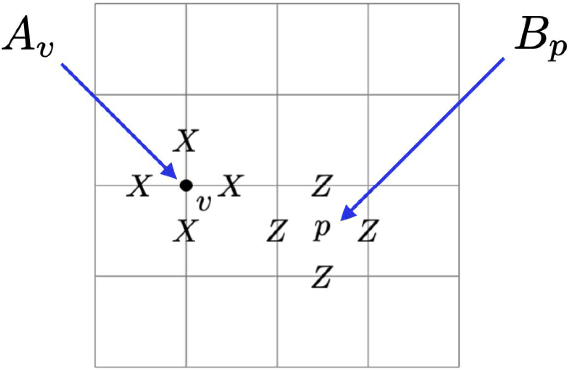 &lt;strong&gt;Figure 1.&lt;/strong&gt; Two types of check operators in the toric code. The \(A_v\) operator acts through the Pauli \(X\) operator on each edge adjacent to \(v\), and the \(B_p\) operator acts through the Pauli \(Z\) operator on each edge on the boundary of \(p\). Figure courtesy of the author.