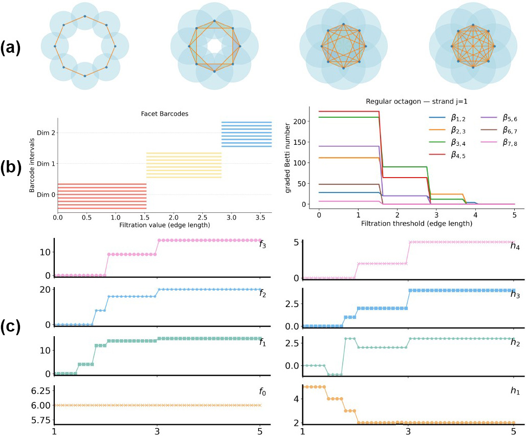 <strong>Figure 1.</strong> Persistent commutative algebra analysis on a regular octagon. <strong>1a.</strong> Filtration of the octagon. <strong>1b.</strong> Persistent facet ideals and persistent graded Betti curves. 1c. Persistent 
\(f\)-vectors and persistent \(h\)-vectors. Figure courtesy of Yiming Ren and adapted from [6].