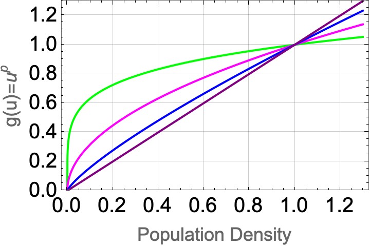 <strong>Figure 1.</strong> Graph of the function \(g(u) = c u^p\), where \(c=1\) with varying \(p\). The green curve is for \(p=0.2\), the magenta curve is for \(p=0.5\), the blue curve is for \(p=0.8\), and the purple curve is for \(p=1\). Figure courtesy of Kwadwo Antwi-Fordjour.