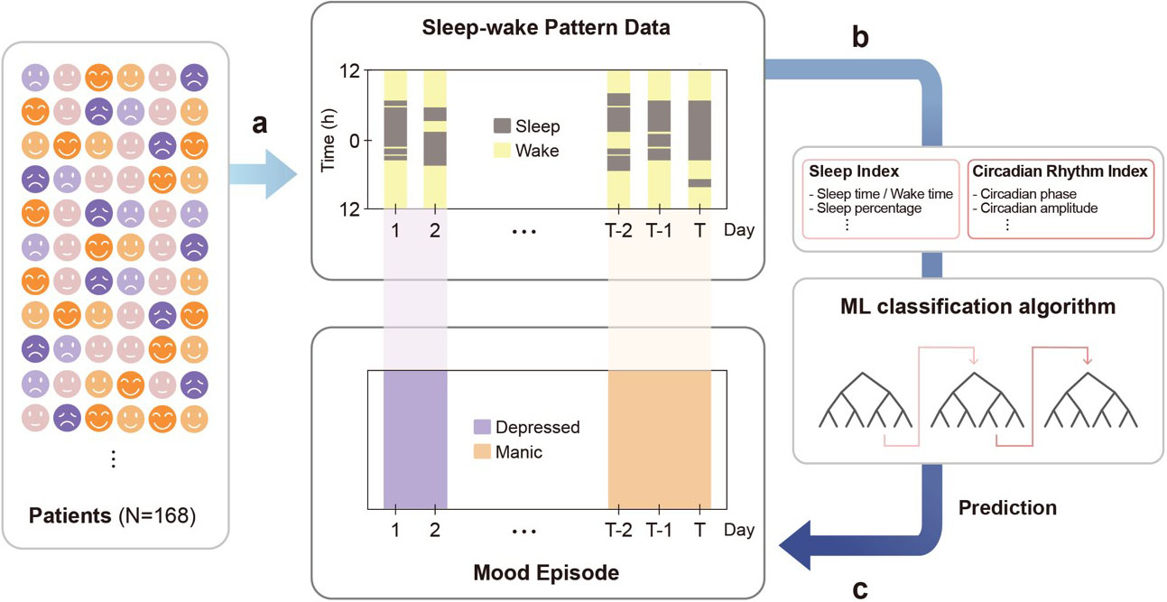 &lt;strong&gt;Figure 1.&lt;/strong&gt; Framework to predict mood episodes from sleep pattern information using a machine learning (ML) classification algorithm. &lt;strong&gt;1a.&lt;/strong&gt; 168 mood disorder patients provided sleep-wake pattern data from wearable devices. &lt;strong&gt;1b.&lt;/strong&gt; We processed the sleep-wake pattern data to derive indices that capture quantity-related features of the patterns and estimated circadian rhythm. &lt;strong&gt;1c.&lt;/strong&gt; By inputting these indices into the ML classification algorithm, we were able to predict daily depressive and manic episodes. Figure courtesy of [5].