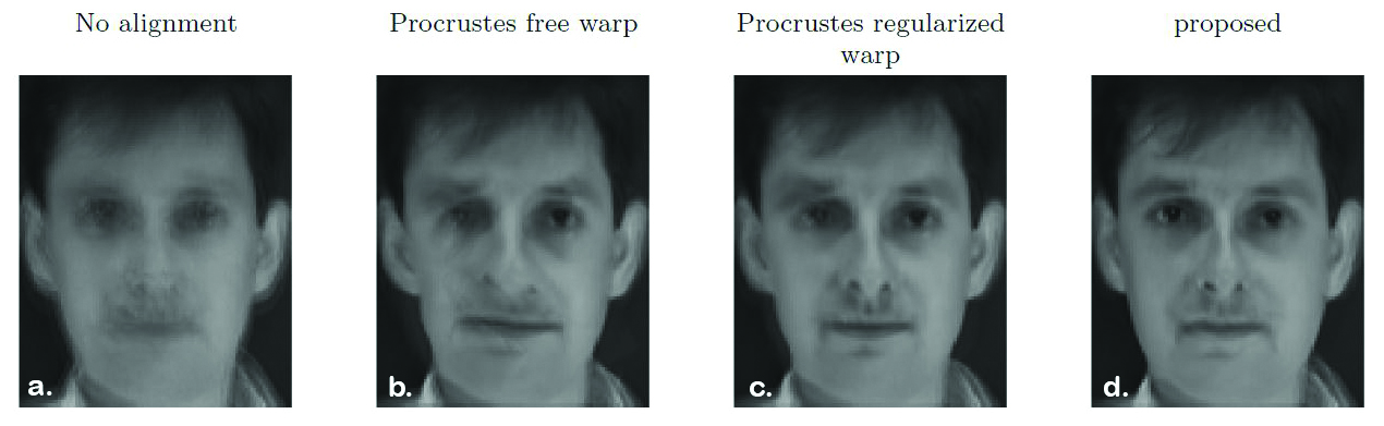 &lt;strong&gt;Figure 2.&lt;/strong&gt; Estimates for the fixed effect &lt;em&gt;&amp;theta;&lt;/em&gt; using different models. The models used to calculate the estimates are as follows: &lt;strong&gt;2a.&lt;/strong&gt; Model assuming no warping effect and Gaussian white noise for the intensity model. &lt;strong&gt;2b.&lt;/strong&gt; 2a. with a free warping function based on 16 displacement vectors. &lt;strong&gt;2c.&lt;/strong&gt; 2a. with a penalized estimation of warping functions. &lt;strong&gt;2d.&lt;/strong&gt; The full model (1). Image courtesy of [3].