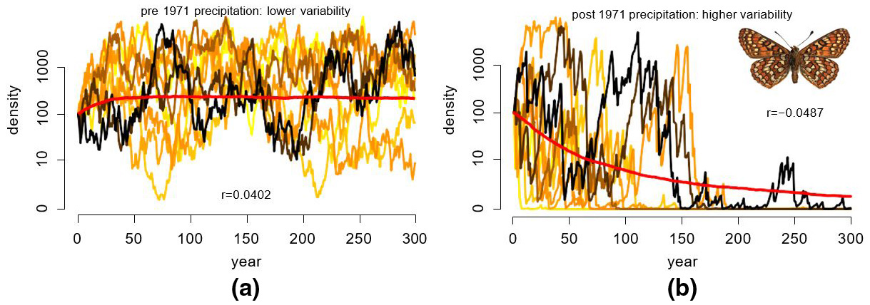 &lt;strong&gt;Figure 1.&lt;/strong&gt; Increased environmental stochasticity promotes extinction. Simulations of a data-based model of form (2) for Bay checkerspot butterflies that are experiencing variability in precipitation. &lt;strong&gt;1a.&lt;/strong&gt; For precipitation variability before 1971, \(r&gt;0\) and stochastic persistence occurs. &lt;strong&gt;1b.&lt;/strong&gt; For precipitation variability after 1971, \(r&lt;0\) and asymptotic extinction occurs. These predictions are consistent with the hypothesis that increased precipitation variability caused the local extinction of two butterfly populations [8]. Figure courtesy of Sebastian Schreiber.