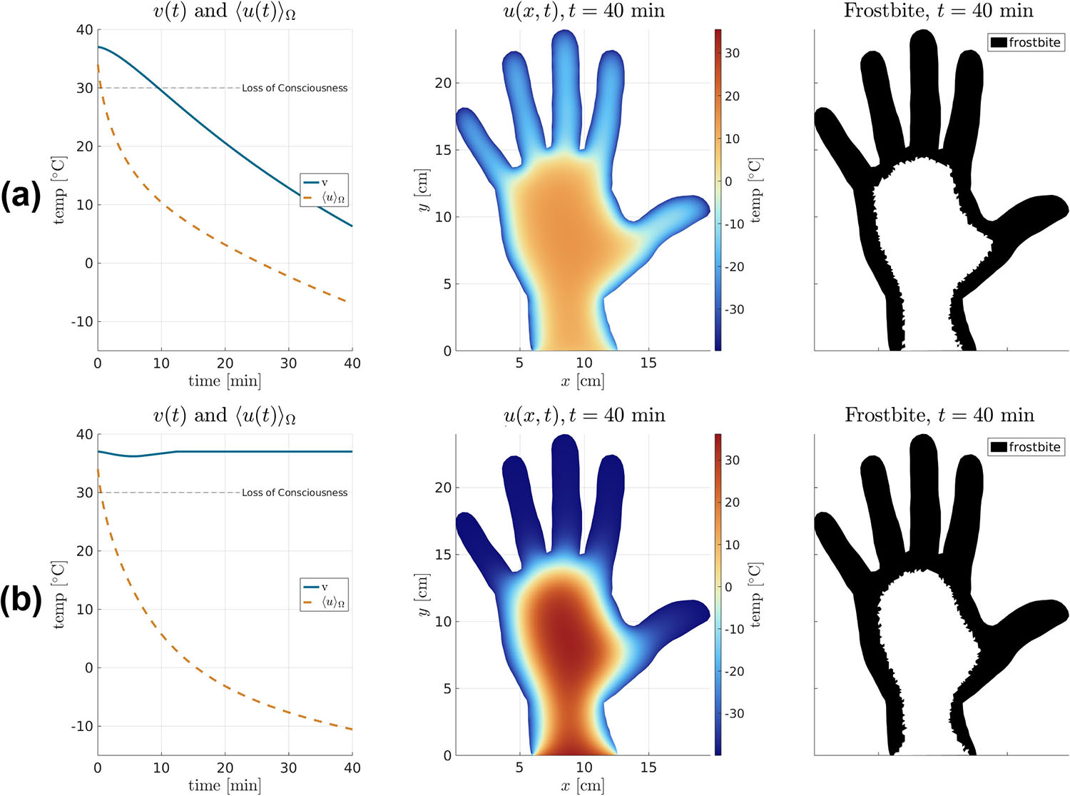 &lt;strong&gt;Figure 6.&lt;/strong&gt; Comparison of simulations of \((\text{L})\) with constant \(R\) and \(S\) and \((\text{N})\) with the nonlinear model in \((7)\) and \((8)\). &lt;strong&gt;6a.&lt;/strong&gt; In \((\text{L})\), \(v\) traces \(\langle u \rangle_\Omega\) closely because there is no regulation of energy exchange between the core and extremity compartments. &lt;strong&gt;6b.&lt;/strong&gt; In \((\text{N})\), \(\langle u \rangle_\Omega\) drops lower than in \((\text{L})\)—corresponding to more extensive frostbite—but \(v\) recovers after a brief dip due to the combined effect of metabolism \(g\) and the “cutoff” of energy exchange between \(\Omega\) and the body’s core. Figure courtesy of the authors.