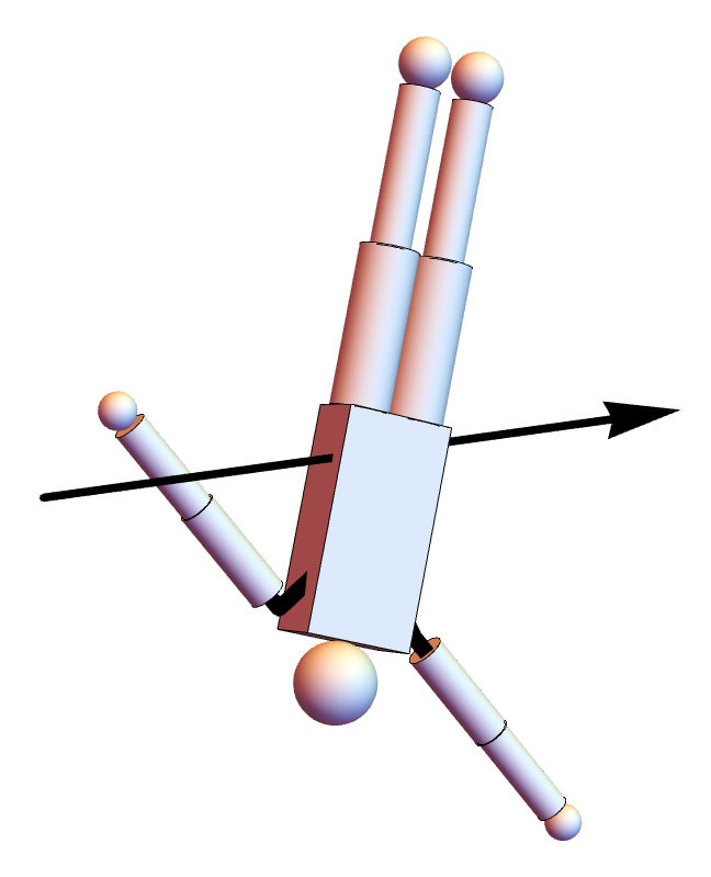 &lt;strong&gt;Figure 2.&lt;/strong&gt; 513XD dive after the first 1/2 twist and 1/2 somersault is complete while arms are in windmill motion. The black vector is the constant angular momentum vector. Image credit: [5].