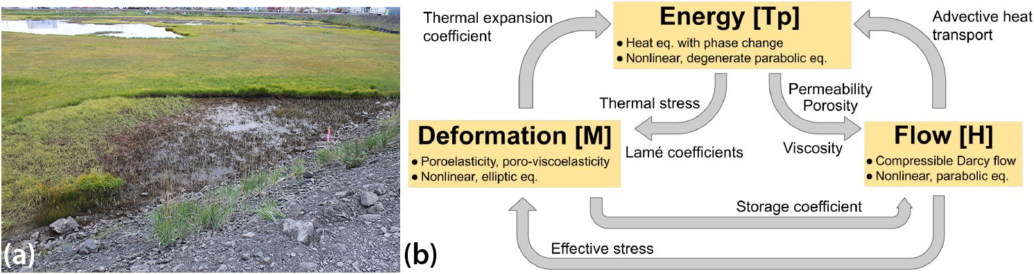 &lt;strong&gt;Figure 1.&lt;/strong&gt; Permafrost thaw disturbs local infrastructure and natural landscape features. &lt;strong&gt;1a.&lt;/strong&gt; Permafrost thaw due to improper road construction leading to the development of a thermokarst. &lt;strong&gt;1b.&lt;/strong&gt; The different processes and relationships in the thermo-hydro-mechanical coupling that governs permafrost thaw. Figure 1a courtesy of John Cloud through the &lt;a href=&quot;https://photolib.noaa.gov/Collections/Americas-Coastline/Other/emodule/887/eitem/40629&quot; rel=&quot;noopener noreferrer&quot; target=&quot;_blank&quot;&gt;National Oceanic and Atmospheric Administration Photo Library,&lt;/a&gt; and Figure 1b courtesy of the authors.