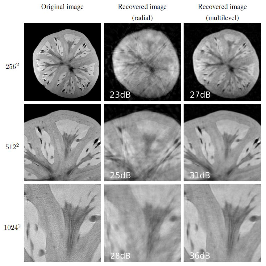 &lt;strong&gt;Figure 3.&lt;/strong&gt; Compressed sensing using 6.25% Fourier measurements at various resolutions. Original image courtesy of Andy Ellison, recovered images by Alexander Bastounis, Ben Adcock, and Anders C. Hansen.