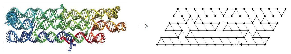 &lt;strong&gt;Figure 2.&lt;/strong&gt; Abstraction of the RNA tile structure as a conformation in an oritatami system. The dashed lines indicate bonds. Left image courtesy of Cody Geary, right image courtesy of Shinnosuke Seki.