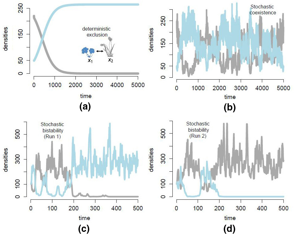 &lt;strong&gt;Figure 2.&lt;/strong&gt; Autocorrelated environmental fluctuations alter ecological outcomes. &lt;strong&gt;2a.&lt;/strong&gt; In a deterministic model of two competing species, one species always excludes the other. &lt;strong&gt;2b-2d.&lt;/strong&gt; Autocorrelated fluctuations in demographic parameters can alter this outcome, allowing for stochastic coexistence (2b) or a stochastic bistability (2c and 2d) for which there is a positive probability of losing either species for the same initial conditions [9]. Figure courtesy of Sebastian Schreiber.