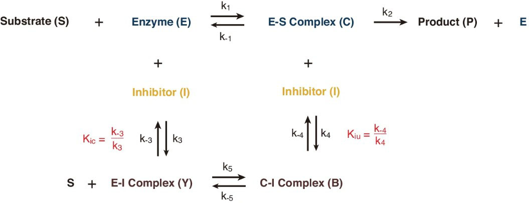 &lt;strong&gt;Figure 2.&lt;/strong&gt; Diagram of enzyme inhibition. Inhibitors delay or suppress conversion of a substrate to a product by binding to either the enzyme or enzyme-substrate complex, thereby hindering the catalytic process. Figure courtesy of [6].
