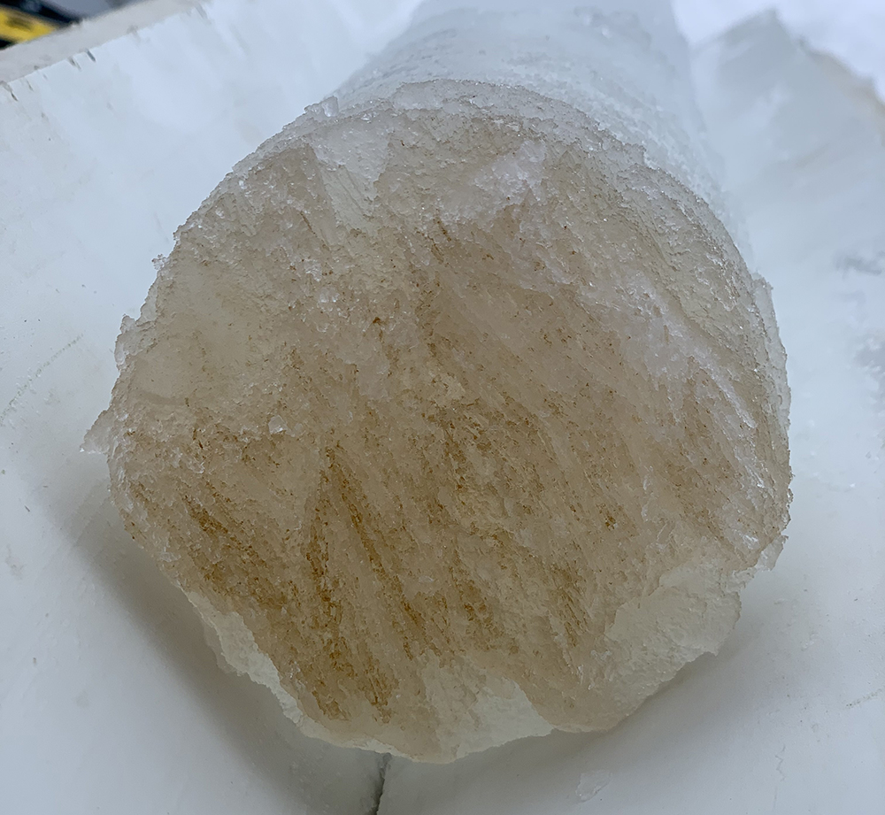 &lt;strong&gt;Figure 2.&lt;/strong&gt; Algae accumulates at the bottom of an ice core, in brine inclusions where the temperatures are warmer. Photo courtesy of Jody Reimer.