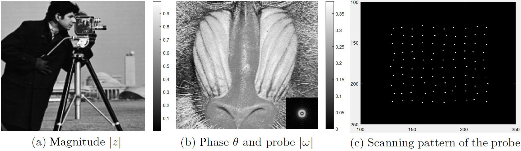 &lt;strong&gt;Figure 2.&lt;/strong&gt; A complex sample image \(z = |z|e^{i\theta}\) of size \(350 \times 350\). &lt;strong&gt;2a.&lt;/strong&gt; The magnitude image \(|z|\). &lt;strong&gt;2b.&lt;/strong&gt; The phase image \(\theta\); the bottom right corner shows the image’s probe \(\omega\) of size \(256 \times 256\). &lt;strong&gt;2c.&lt;/strong&gt; The scanning pattern of the numerical experiments. Figure courtesy of [1].