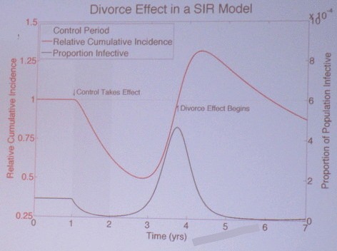 Alun Lloyd presented a standard SIR model of the so-called divorce effect. A post-control outbreak drives the relative cumulative incidence above 1, negating the benefits of the transient control period. Image credit: Alun Lloyd.