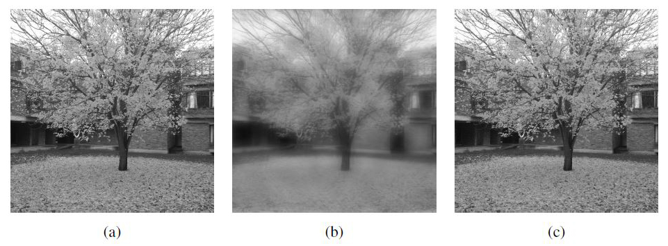 &lt;strong&gt;Figure 5.&lt;/strong&gt; Compressive imaging. &lt;strong&gt;5a.&lt;/strong&gt; Original image. &lt;strong&gt;5b.&lt;/strong&gt; Recovery from &lt;em&gt;m&lt;/em&gt;=16.5% scrambled Hadamard measurements. &lt;strong&gt;5c.&lt;/strong&gt; Recovery from &lt;em&gt;m&lt;/em&gt;=16.5% multilevel subsampled Hadamard measurements. Image credit: Alexander Bastounis, Ben Adcock, and Anders C. Hansen.