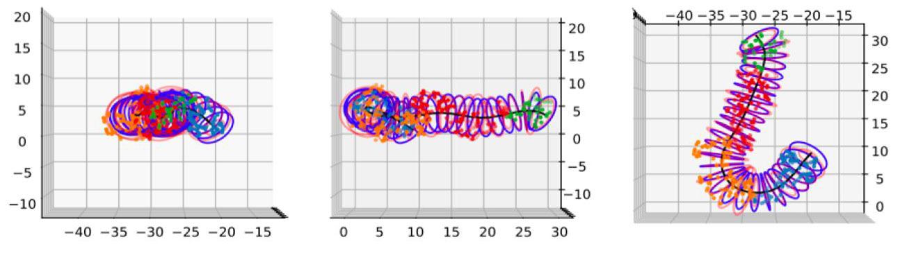 &lt;strong&gt;Figure 3.&lt;/strong&gt; Worm. Figure courtesy of Kirk Gardner.