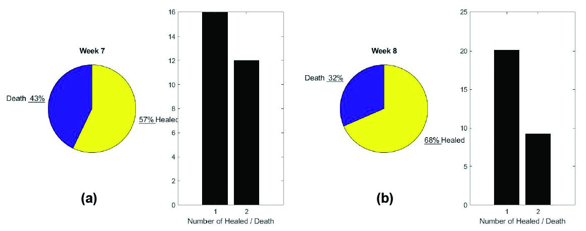 &lt;strong&gt;Figure 5.&lt;/strong&gt; Prediction of performance in our hypothetical scenario involving a second wave of the pandemic. &lt;strong&gt;5a.&lt;/strong&gt; Patient output for the previous week. &lt;strong&gt;5b.&lt;/strong&gt; Predicted patient output for the next week.