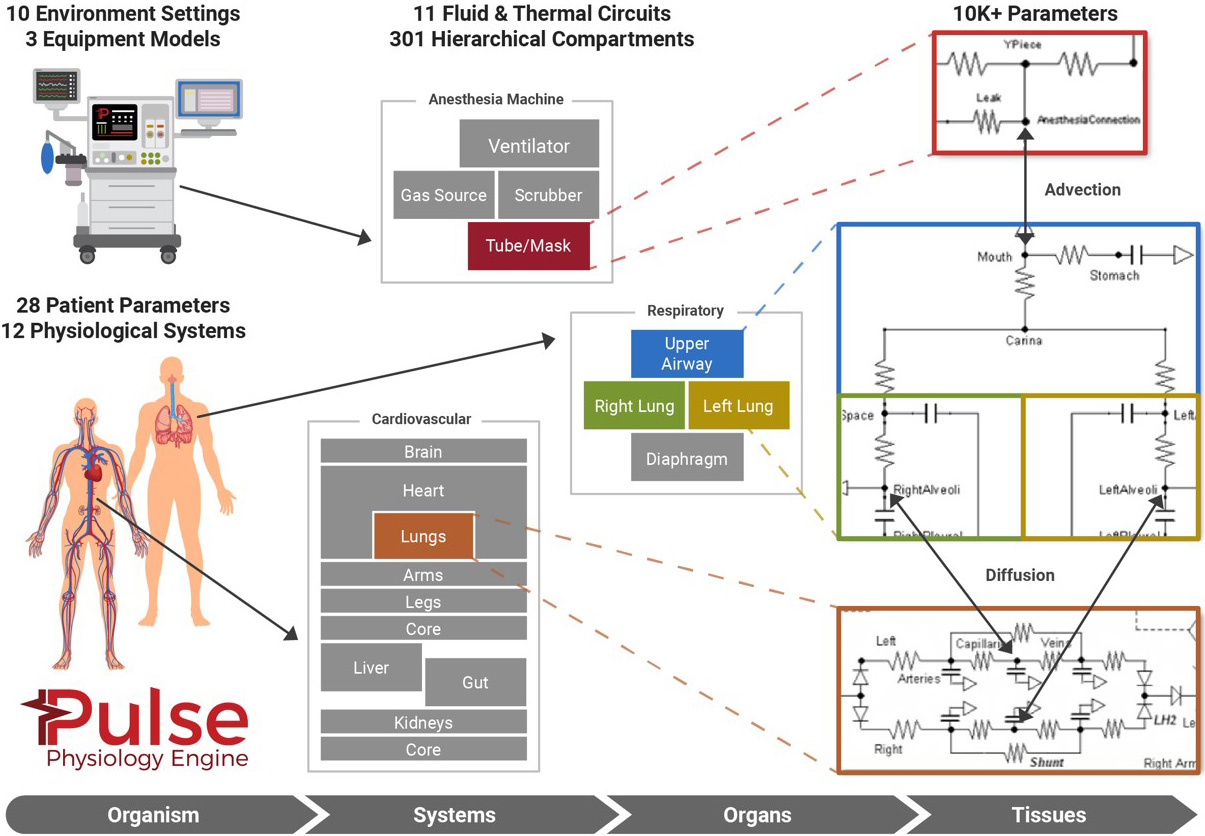 &lt;strong&gt;Figure 1.&lt;/strong&gt; Overview of the Pulse Physiology Engine. Figure courtesy of Kitware.