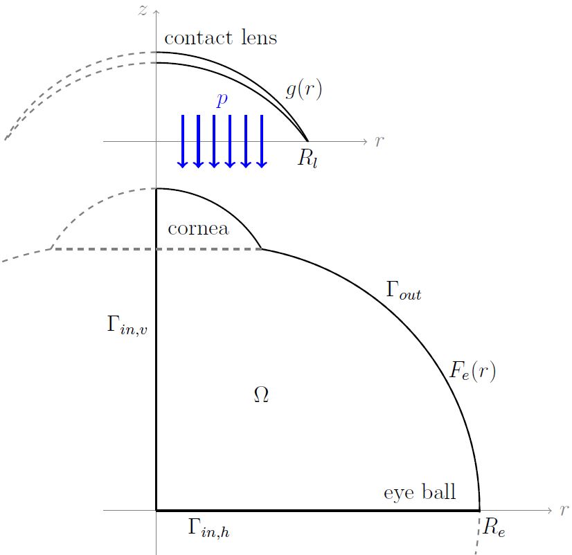 &lt;strong&gt;Figure 1.&lt;/strong&gt; A schematic representation of the reference frame of the eye and contact lens models, coupled via the suction pressure \(p\). Image courtesy of Lucia Carichino.