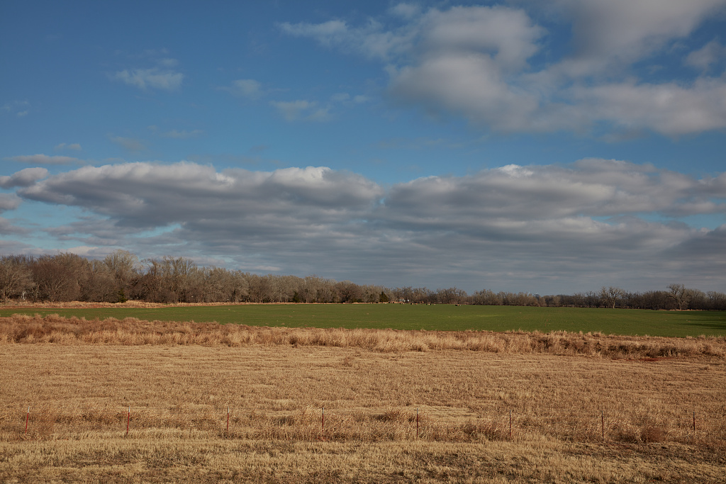 <strong>Figure 1.</strong> Prairie grasses meet a soybean field and a line of trees outside of Hydro, a small town that straddles Caddo and Blaine counties along U.S. Route 66 in western Oklahoma. Public domain photograph courtesy of Carol M. Highsmith through the <a href="https://www.loc.gov/item/2020743880/" rel="noopener noreferrer" target="_blank">Library of Congress</a>.