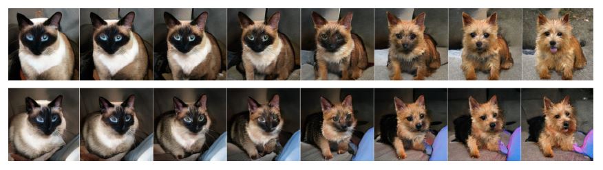 &lt;strong&gt;Figure 3.&lt;/strong&gt; Two examples of “deep fakes” — virtual images that interpolate between cats and dogs. Image courtesy of Gabriel Peyré.