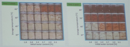Graphical representation of the browning, caking, and crystallization that occurs when milk powder is exposed to extreme temperatures or humidity levels for prolonged periods of time.