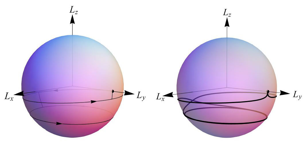 &lt;strong&gt;Figure 1.&lt;/strong&gt; Trajectory on the sphere of constant momentum |&lt;strong&gt;L&lt;/strong&gt;|=&lt;em&gt;l&lt;/em&gt;. &lt;strong&gt;Left&lt;/strong&gt;. Kick model, second kickoff by a half twist. &lt;strong&gt;Right&lt;/strong&gt;. Realistic model. Image credit: [5].