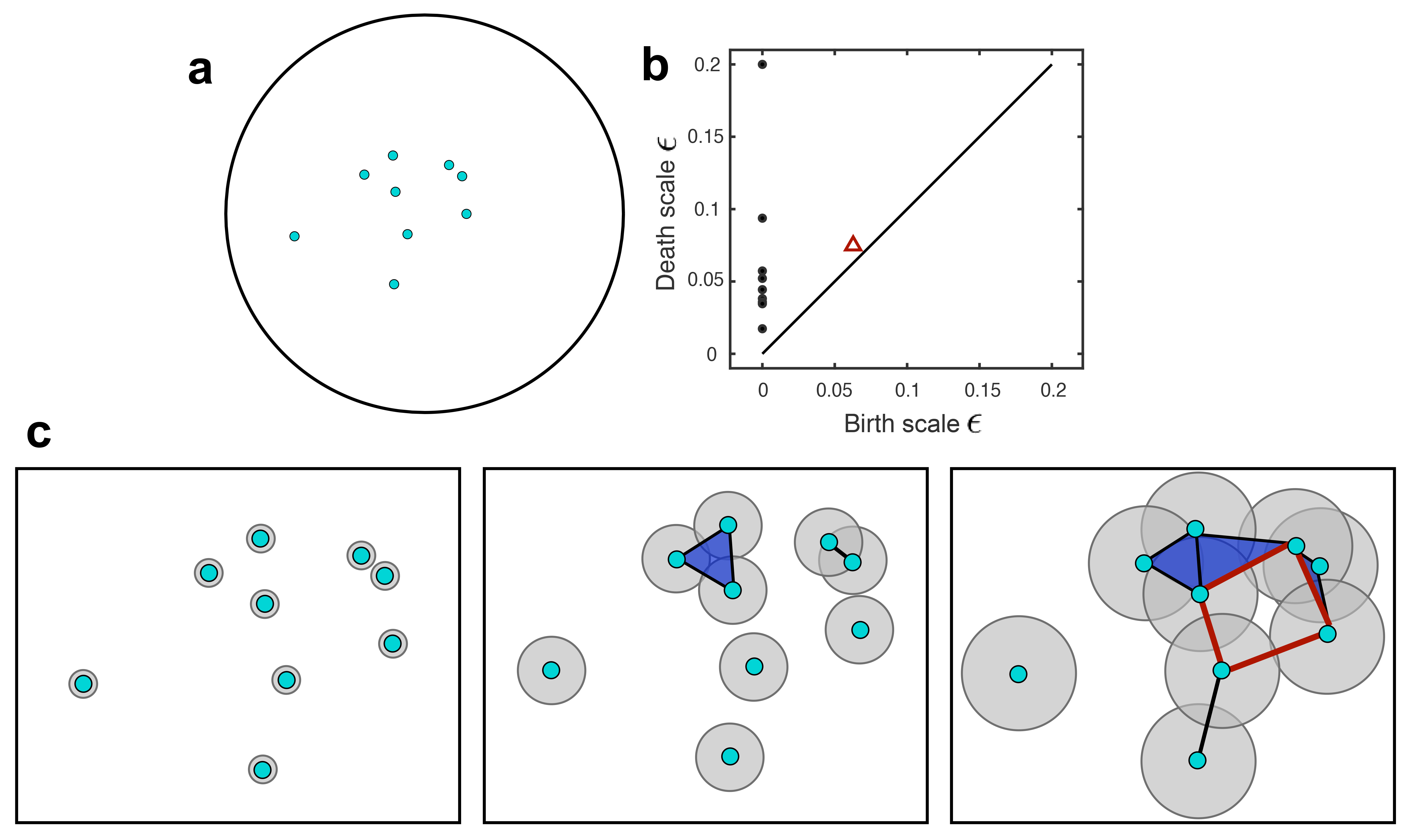 &lt;strong&gt;Figure 1.&lt;/strong&gt; Pedagogical example of persistent homology computations. &lt;strong&gt;1a.&lt;/strong&gt; Initial locations of nine pea aphids in a circular domain, taken from a collective motion experiment [8] and analyzed in [10]. &lt;strong&gt;1b.&lt;/strong&gt; A persistence diagram summarizing the homology of the data in 1a across a range of persistence scales \(\varepsilon\). The horizontal and vertical axes respectively specify the values of \(\varepsilon\) at which a topological feature is born and dies. Black circles represent connected components and red triangles represent flat holes in the data. &lt;strong&gt;1c.&lt;/strong&gt; The Vietoris-Rips complexes of the data in 1a as the persistence scale \(\varepsilon\) takes on three increasing values. Each point is a 0-simplex and each edge is a 1-simplex, created if the \(\varepsilon/2\)-balls around two points intersect. Every triangle is a 2-simplex that forms if all vertices are pairwise connected by edges. Note the red quadrilateral in the last panel; because the four vertices are connected in a cyclic manner, there is a flat hole in the data. This hole manifests as the red triangle in 1b. Figure courtesy of Maria-Veronica Ciocanel.