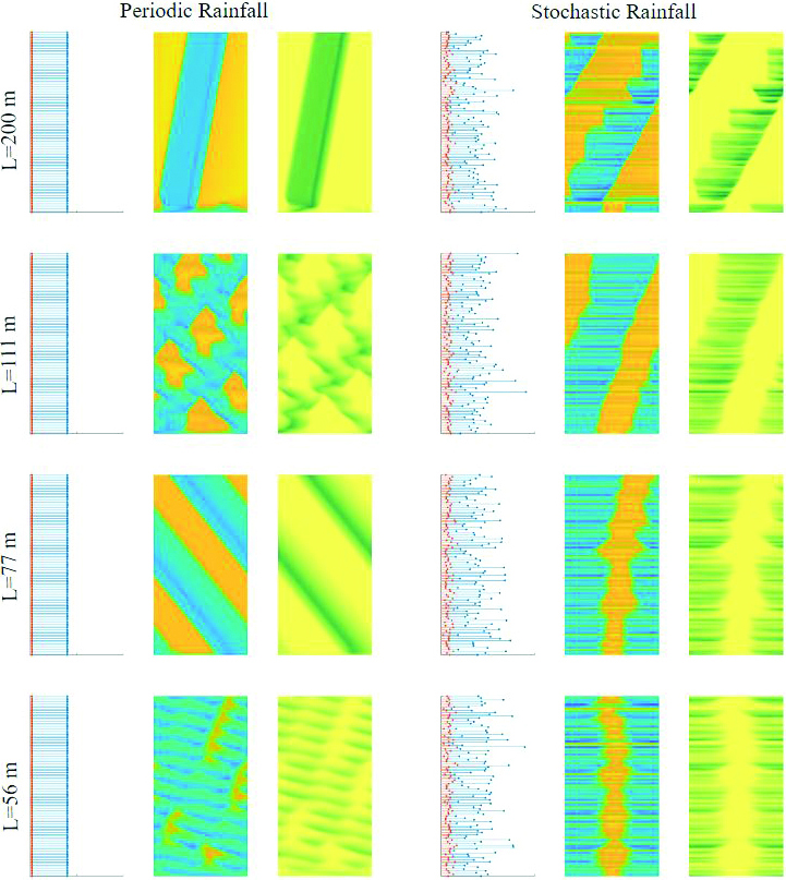 &lt;strong&gt;Figure 3.&lt;/strong&gt; Snapshots of annual rainfall, soil water, and biomass at different domain sizes \(L\) for periodic and stochastic rainfall. In each scenario, the vertical axis spans 100 years and the horizontal rainfall axis spans 40 centimeters (cm). The model parameters are fixed at a mean annual precipitation of 16 cm and a mean storm depth of \(H_0=1\) cm. Figure courtesy of [3].