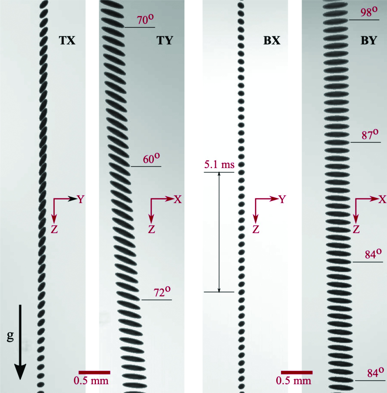 &lt;strong&gt;Figure 2.&lt;/strong&gt; High-speed camera footage of 3D-printed spheroids as they settle to the bottom of an air chamber. The two left panels depict the tumbling motion at the beginning of the fall from different viewpoints, and the two right panels show the spheroids at the end of the fall. Figure courtesy of [1].