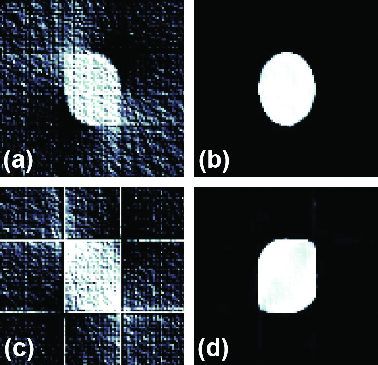 &lt;strong&gt;Figure 1.&lt;/strong&gt; Direct reconstruction and network output for ellipse data (which is in the training distribution) and rectangle data (which is not). &lt;strong&gt;1a.&lt;/strong&gt; Direct reconstruction of an ellipse. &lt;strong&gt;1b.&lt;/strong&gt; Network output from the data in 1a. &lt;strong&gt;1c.&lt;/strong&gt; Direct reconstruction of a rectangle. &lt;strong&gt;1d.&lt;/strong&gt; Network output from the data in 1c. Figure courtesy of Tim Roith.